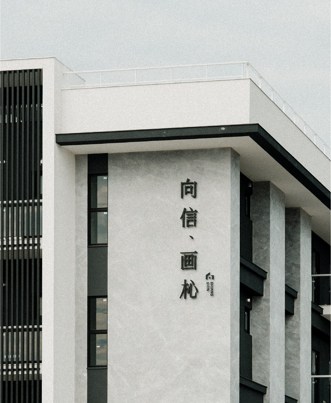 向信画杺